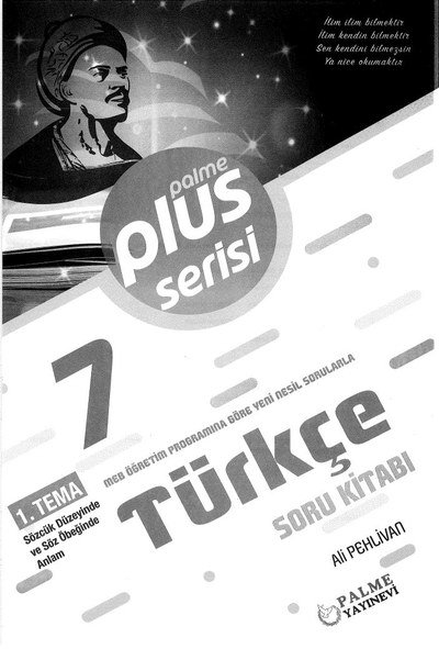 PLUS SERİSİ TÜRKÇE SORU KİTABI Panda Fotokopi & Baskı Merkezi