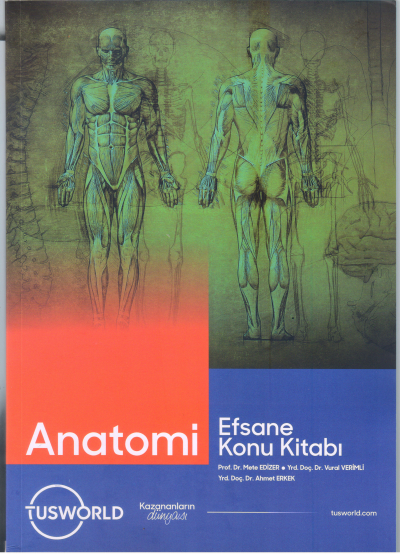 Anatomi Efsane Konu Kitabı Tusworld Panda Fotokopi & Baskı Merkezi