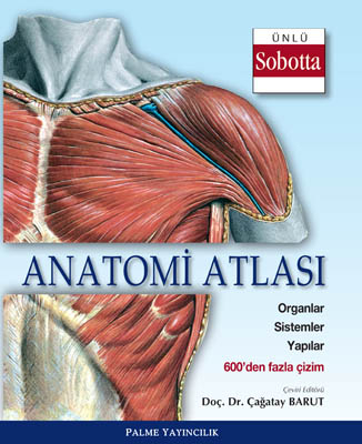Anatomi Atlası (Sobotta Çizimleri) Palme Yayıncılık Panda Fotokopi & Baskı Merkezi