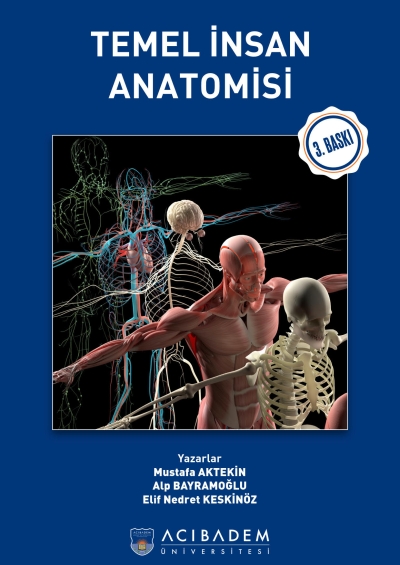 Temel İnsan Anatomisi Acıbadem Üniversitesi Panda Fotokopi & Baskı Merkezi